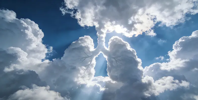 清远肺癌13基因突变检测（组织）检测图1