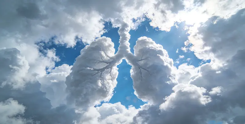 肺癌13基因突变检测（组织）图4