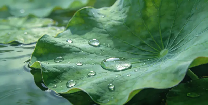 乳腺癌21基因检测图4