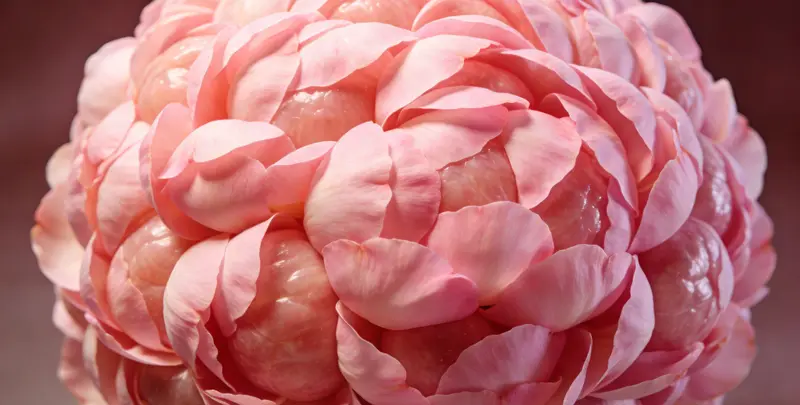 清远BRCA1/2乳腺癌卵巢癌基因检测检测图1